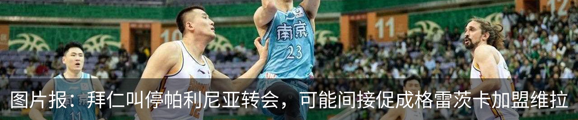新闻动态