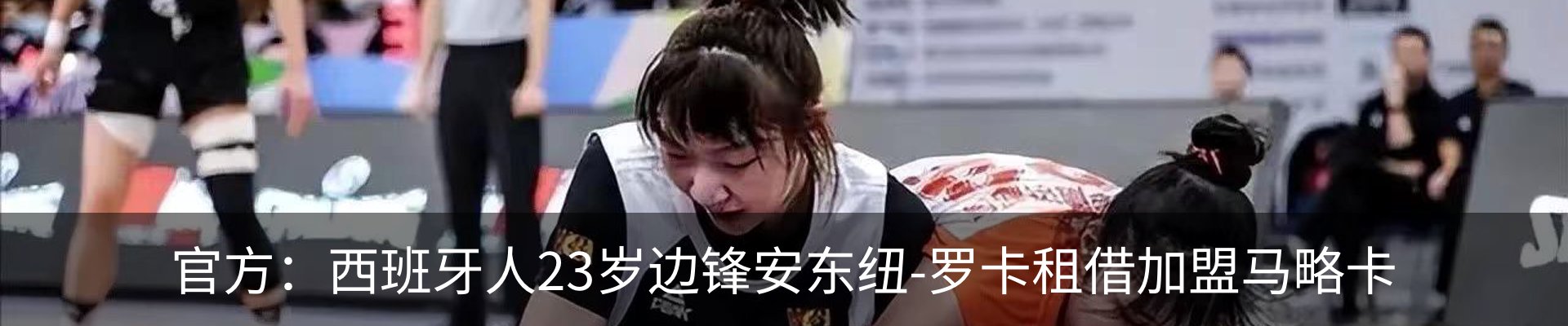 新闻动态