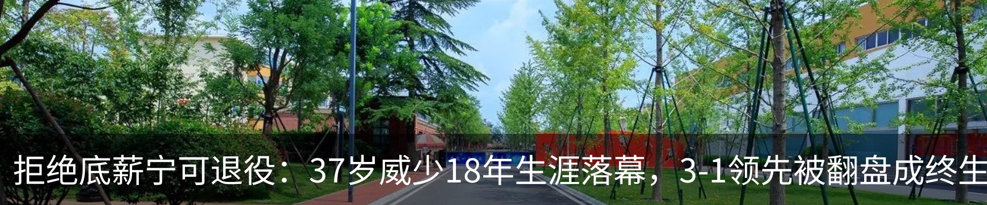 新闻动态