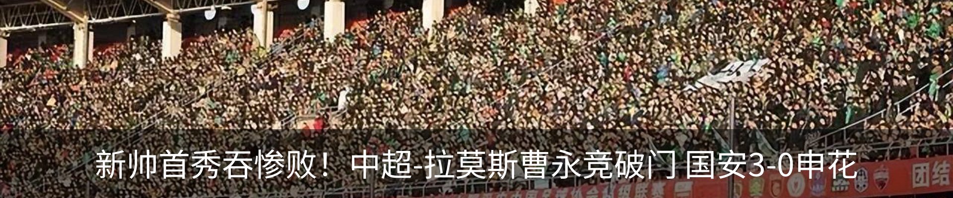 新闻动态