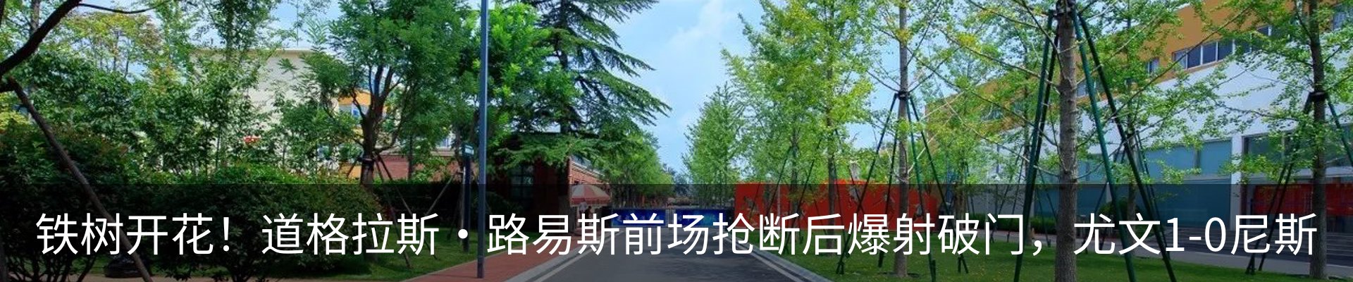 新闻动态