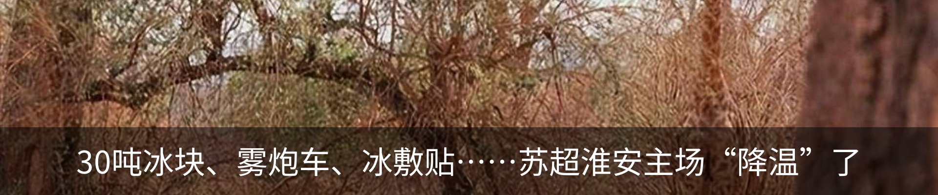 新闻动态